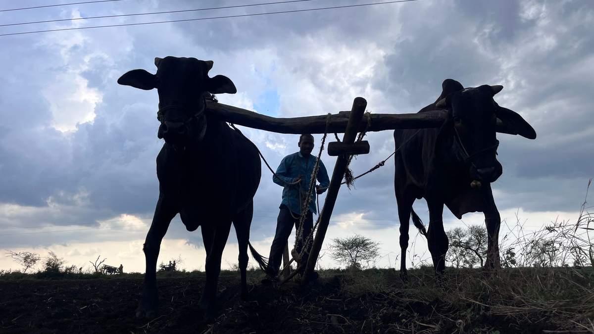 किसानों की आय दोगुना करने के लिए निवेश को और बढ़ाने की जरूरत: आर्थिक सर्वेक्षण