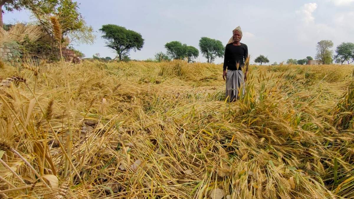 यूपी में आंधी, बारिश और ओलावृष्टि ने किसानों पर बरपाया कहर, मुख्यमंत्री योगी ने दिए राहत कार्यों के निर्देश