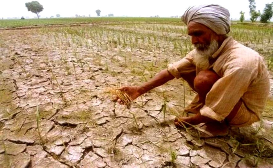 महाराष्ट्र में जनवरी से मार्च 2025 के बीच 700 से ज्यादा किसानों ने की Suicide, मंत्री ने विधानपरिषद में दी जानकारी