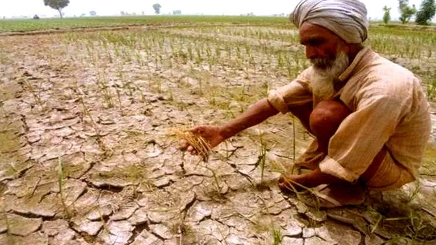महाराष्ट्र में जनवरी से मार्च 2025 के बीच 700 से ज्यादा किसानों ने की Suicide, मंत्री ने विधानपरिषद में दी जानकारी