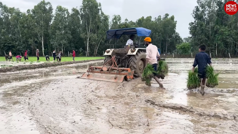 पंजाब कृषि विभाग के आंकड़ों के मुताबिक, इस साल राज्य में 32.76 लाख हेक्टेयर में धान बोया गया है।