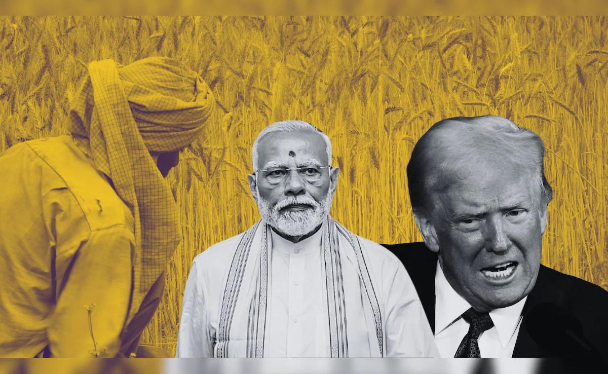 अमेरिकी टैरिफ का भारत के कृषि निर्यात पर अन्य देशों के मुकाबले होगा कम असर