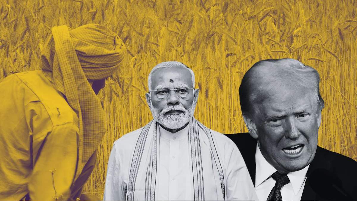 अमेरिकी टैरिफ का भारत के कृषि निर्यात पर अन्य देशों के मुकाबले होगा कम असर