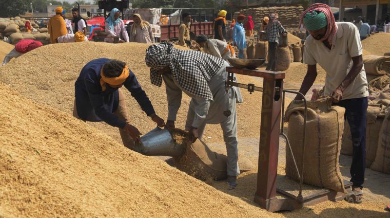 उत्तर प्रदेश में एक अक्‍टूबर से शुरू होगी MSP पर धान की खरीद, इस बार रहेगी ये खास व्‍यवस्‍था