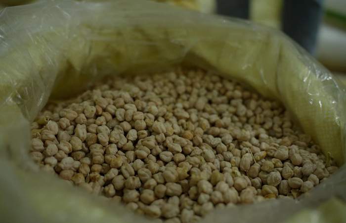 डॉलर चना: बुआई से कमाई तक पूरी जानकारी