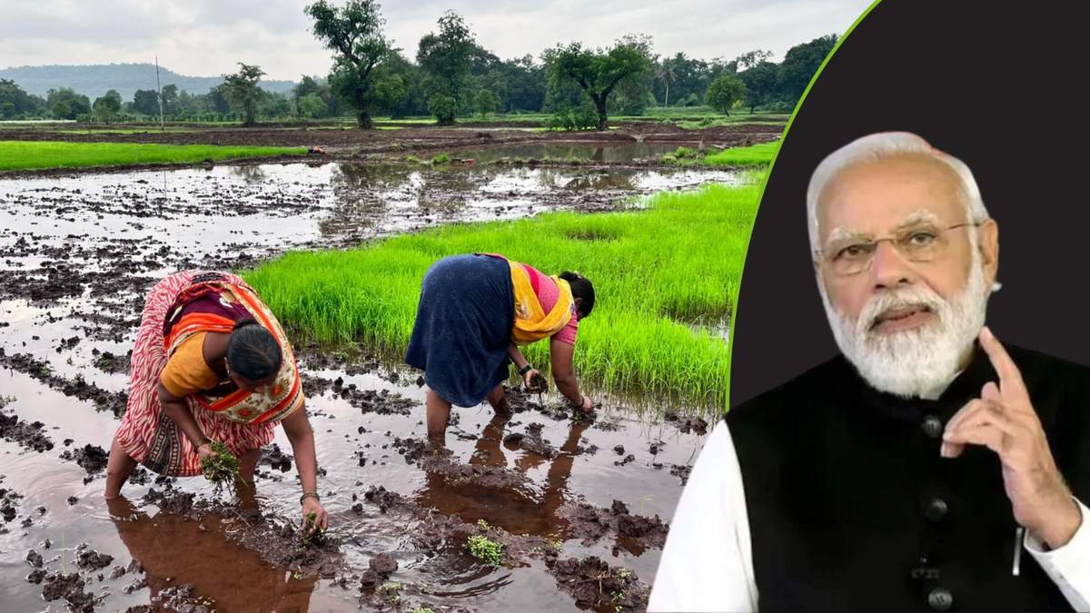 कैबिनेट ने खाद्य सुरक्षा और टिकाऊ कृषि को बढ़ावा देने के लिए पीएम-आरकेवीवाई और कृष्णोन्नति योजना के लिए ₹1 लाख करोड़ की मंजूरी दी