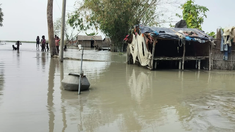 यह तस्वीर बिहार के पश्चिमी चंपारण के एक गांव की है, जो पूरी तरह से बाढ़ में डूबा हुआ है।