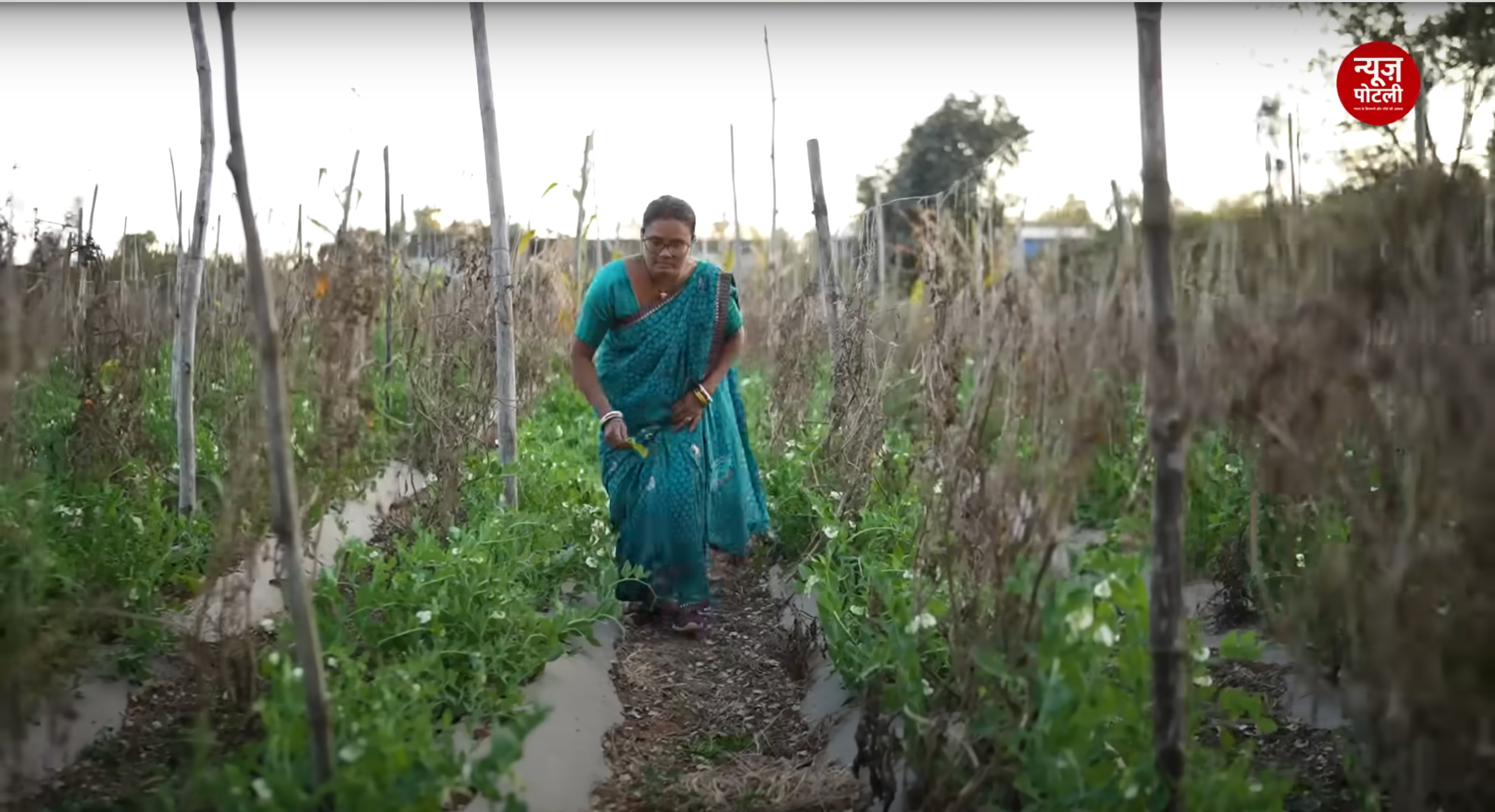 बिहार में किसानों को कृषि सखियाँ सिखायेंगी प्राकृतिक खेती के गुर, 50 हजार किसानों को मिलेगा फायदा