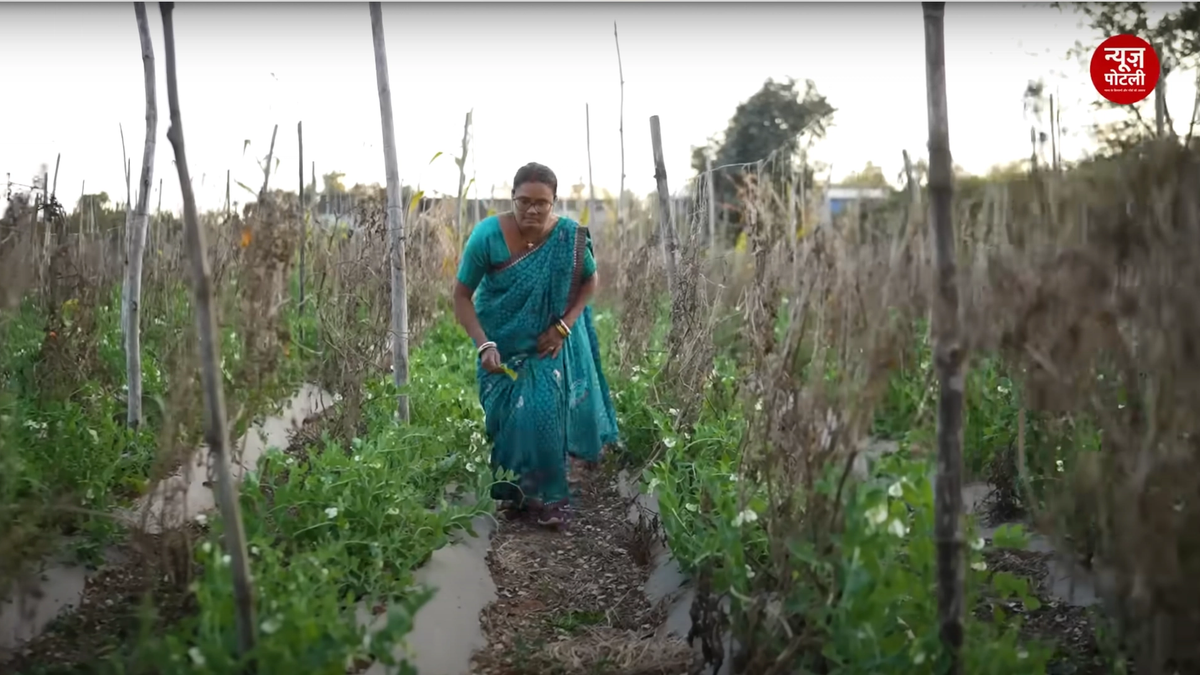 बिहार में किसानों को कृषि सखियाँ सिखायेंगी प्राकृतिक खेती के गुर, 50 हजार किसानों को मिलेगा फायदा
