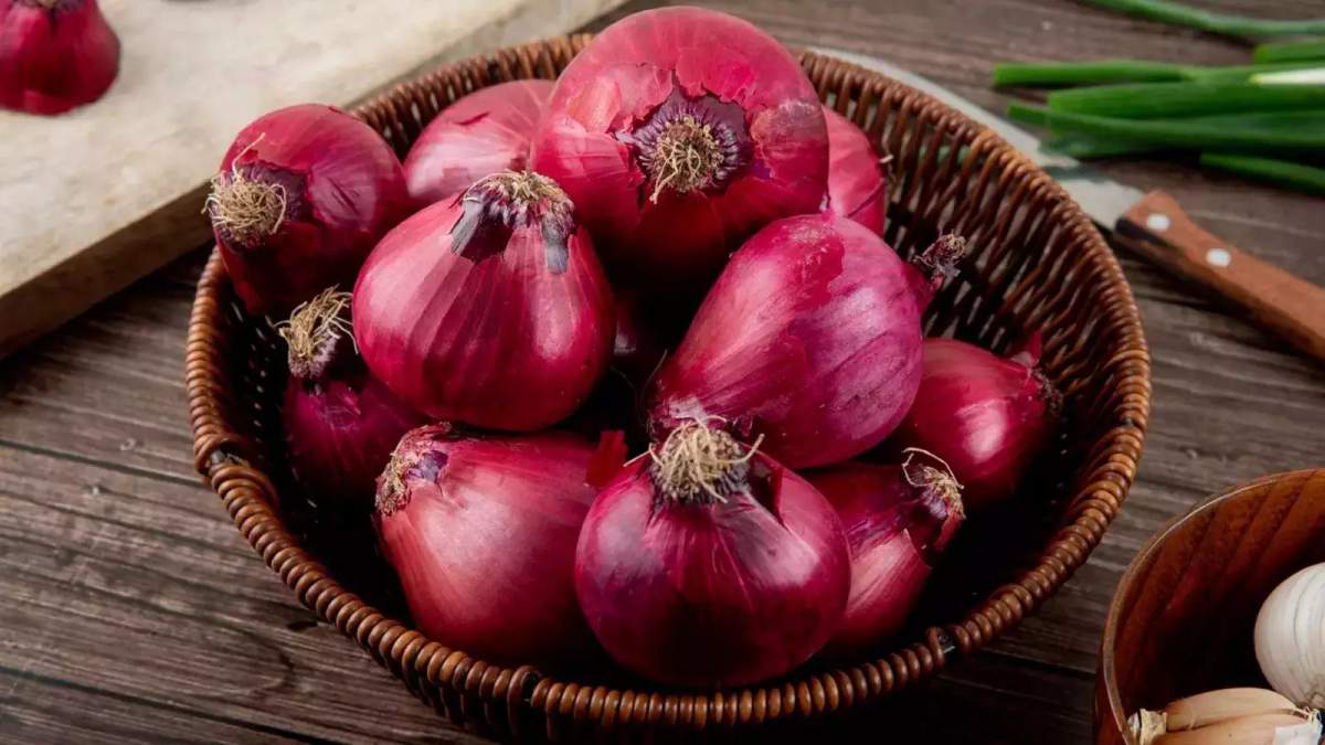 Onion Exports: प्याज की एक्सपोर्ट को लेकर केंद्र सरकार का बड़ा फैसला, किसानों पर इसका क्या होगा असर?