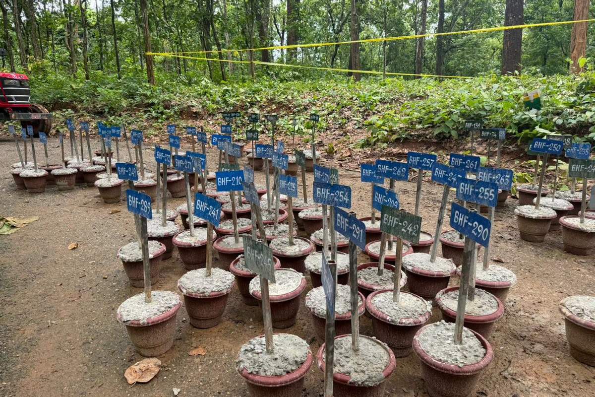 नेपाल बाढ़: शवों को दिया जा रहा यूनिक कोड, DNA और फिंगरप्रिंट से होगी पहचान