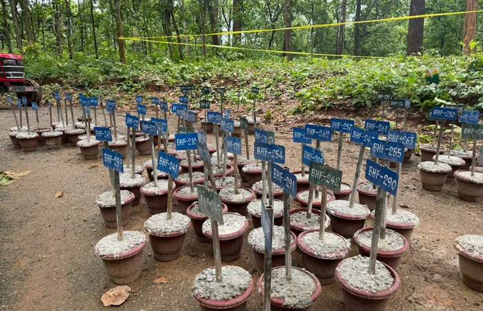 नेपाल बाढ़: शवों को दिया जा रहा यूनिक कोड, DNA और फिंगरप्रिंट से होगी पहचान