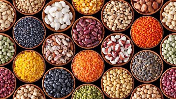 उत्तर प्रदेश में 36 फीसदी बढ़ा दलहन का उत्पादन, किसानों को मिनी किट देगी राज्य सरकार