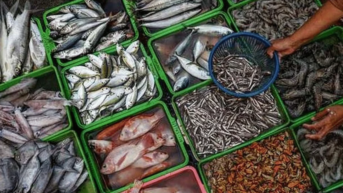 Seafood Exports में फिर आएगी रफ्तार, US ने शुल्क घटाकर 18% किया