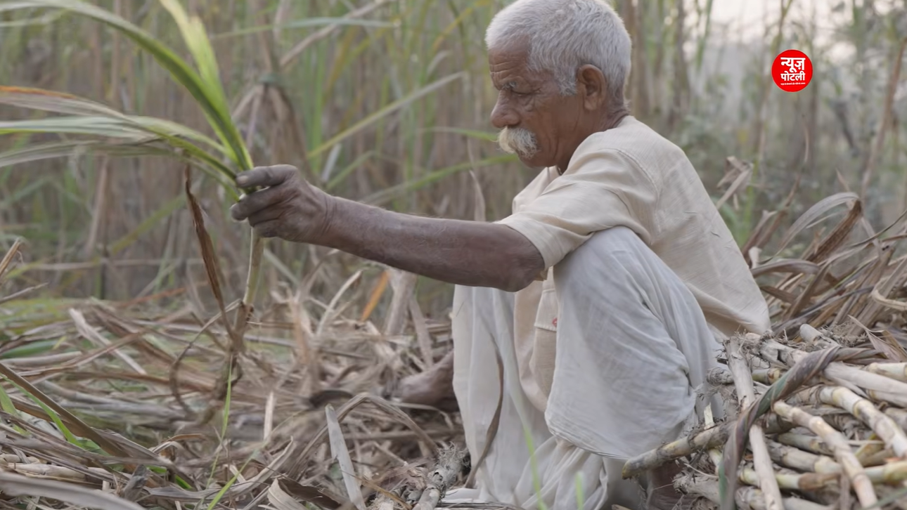  21 अगस्त तक देश में खरीफ फसलों की कुल बुवाई 1,056.7 लाख हेक्टेयर तक पहुंच गई है।