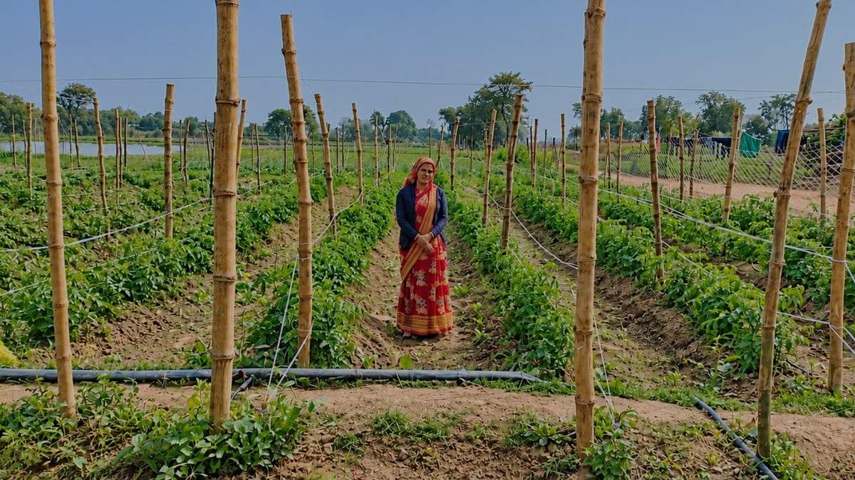 खाद, बीज, मौसम और मंडी भाव की जानकारी एक जगह, किसानों के लिए लॉन्च हुआ नया पोर्टल