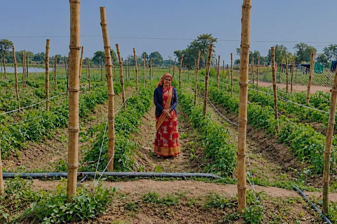 खाद, बीज, मौसम और मंडी भाव की जानकारी एक जगह, किसानों के लिए लॉन्च हुआ नया पोर्टल