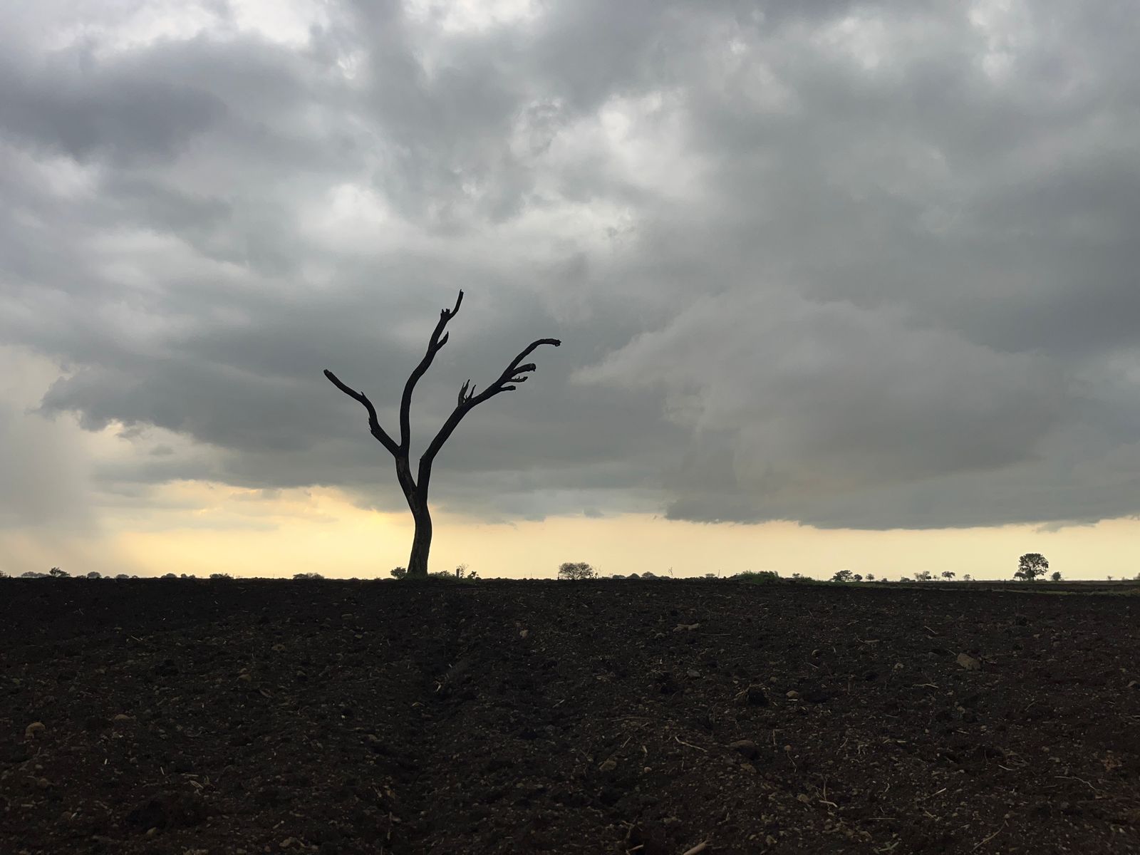 Monsoon Rainfall: जून महीने में सामान्‍य से 11% कम बार‍िश, देश का लगभग 50% ह‍िस्‍सा सूखाग्रस्त
