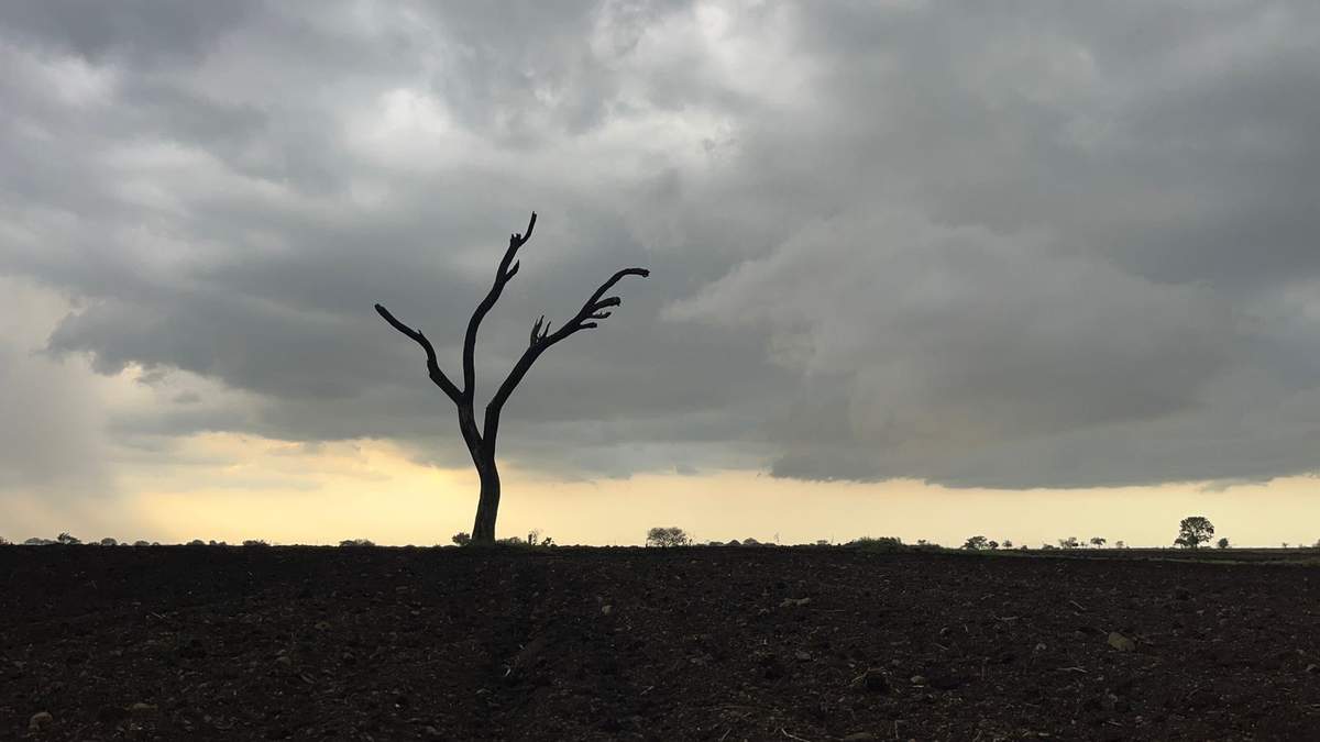 Monsoon Rainfall: जून महीने में सामान्य से 11% कम बारिश, देश का लगभग 50% हिस्सा सूखाग्रस्त