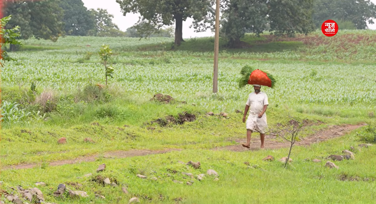 महाराष्ट्र सरकार ने अपनी नई किसान कर्ज माफी योजना के तहत पहले चरण में 533 पात्र किसानों की प्रतीकात्मक सूची जारी कर दी है।