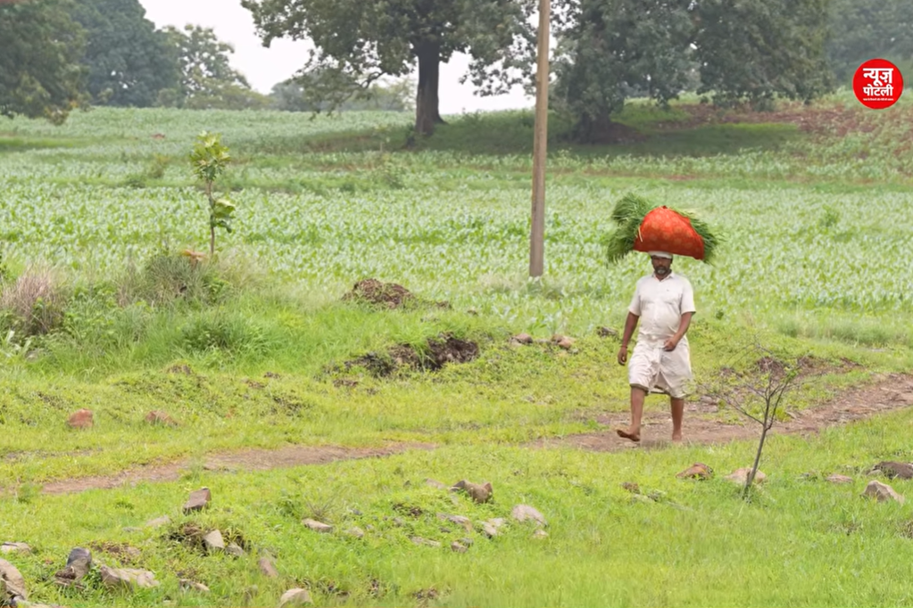 महाराष्ट्र सरकार ने अपनी नई किसान कर्ज माफी योजना के तहत पहले चरण में 533 पात्र किसानों की प्रतीकात्मक सूची जारी कर दी है।