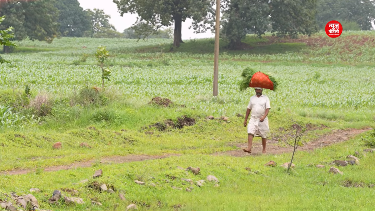 महाराष्ट्र सरकार ने अपनी नई किसान कर्ज माफी योजना के तहत पहले चरण में 533 पात्र किसानों की प्रतीकात्मक सूची जारी कर दी है।