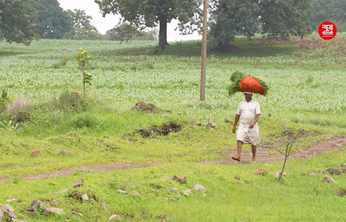 महाराष्ट्र सरकार ने अपनी नई किसान कर्ज माफी योजना के तहत पहले चरण में 533 पात्र किसानों की प्रतीकात्मक सूची जारी कर दी है।