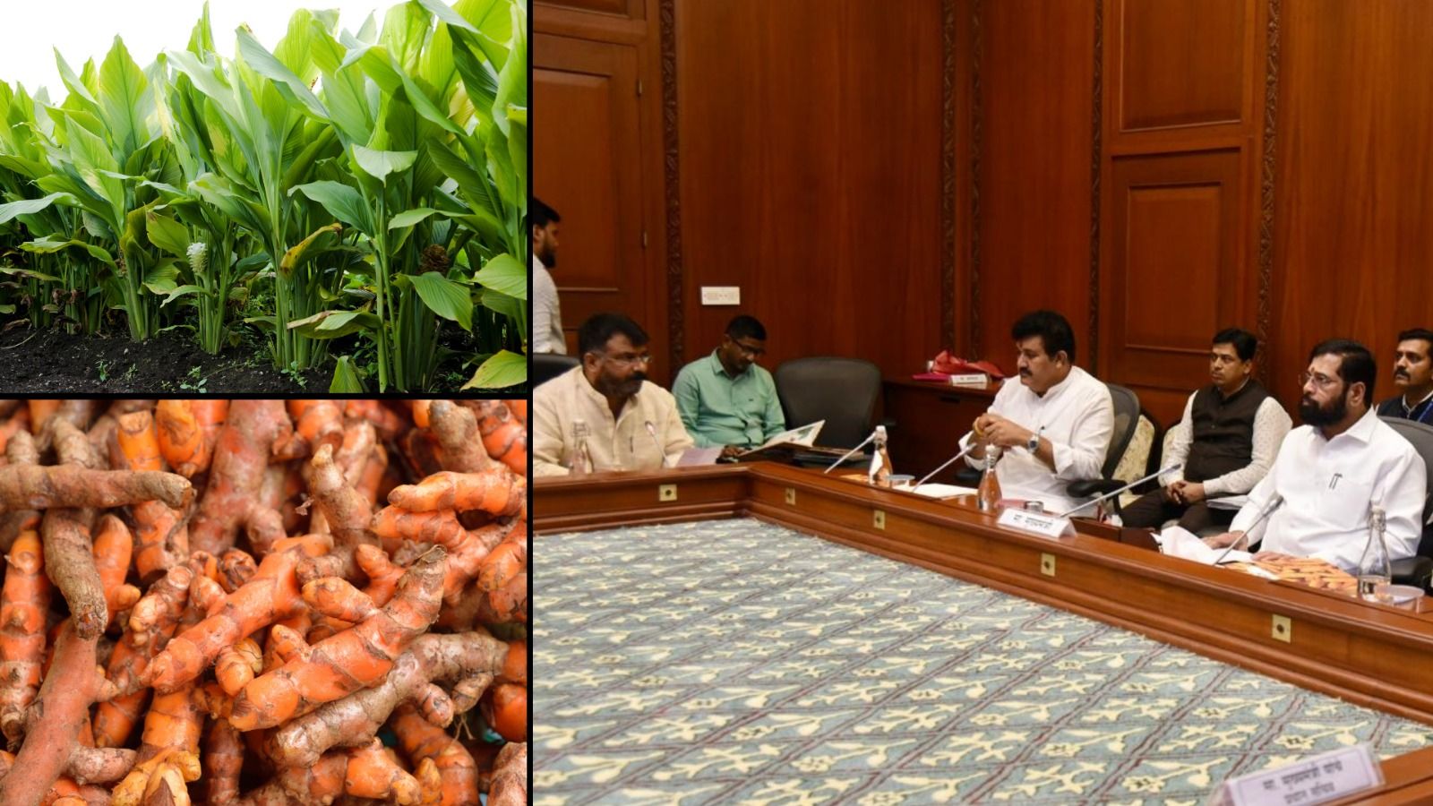 हल्दी उत्पादन से मराठवाड़ा, विदर्भ में स्वर्णिम क्रांति-मुख्यमंत्री एकनाथ शिंदे