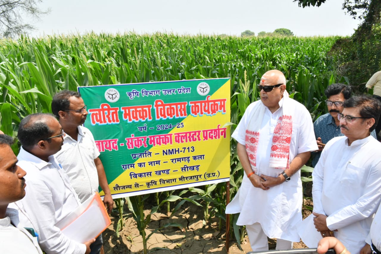 मिर्जापुर के शिखर ब्लॉक में कृषि मंत्री ने मक्का, पपीता और मूंगफली की खेती का निरीक्षण कर किसानों का हाल जाना