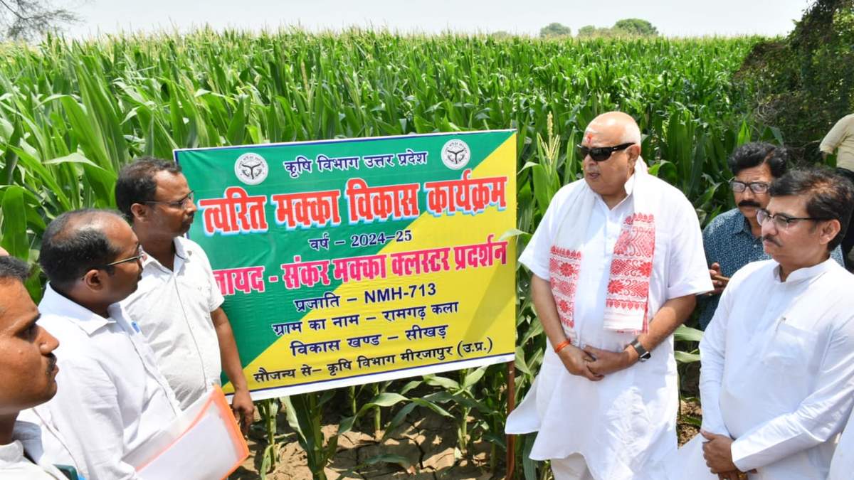 मिर्जापुर के शिखर ब्लॉक में कृषि मंत्री ने मक्का, पपीता और मूंगफली की खेती का निरीक्षण कर किसानों का हाल जाना