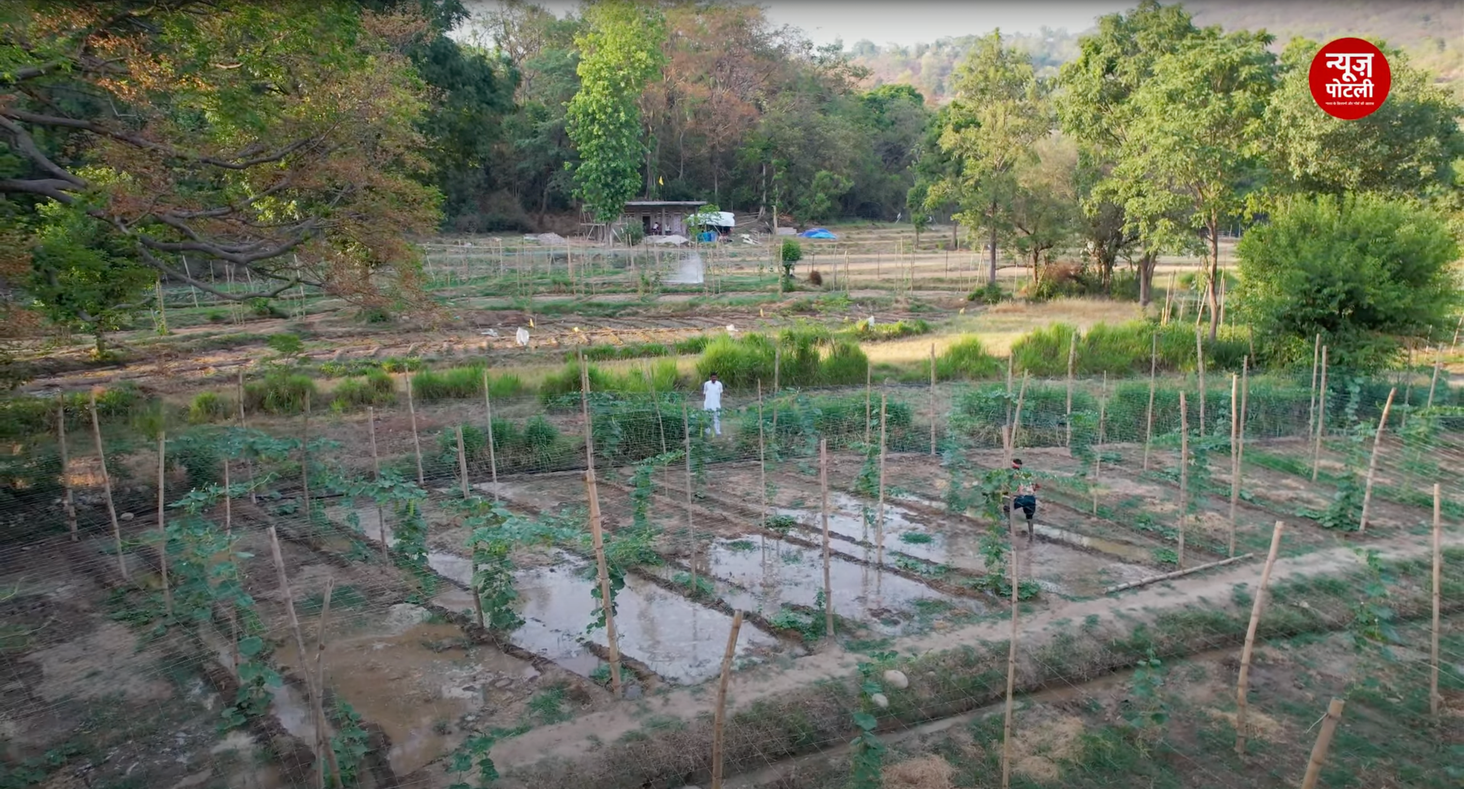 उत्तर प्रदेश सरकार प्राकृतिक खेती के लिए खर्च करेगी 2500 करोड़ रुपए