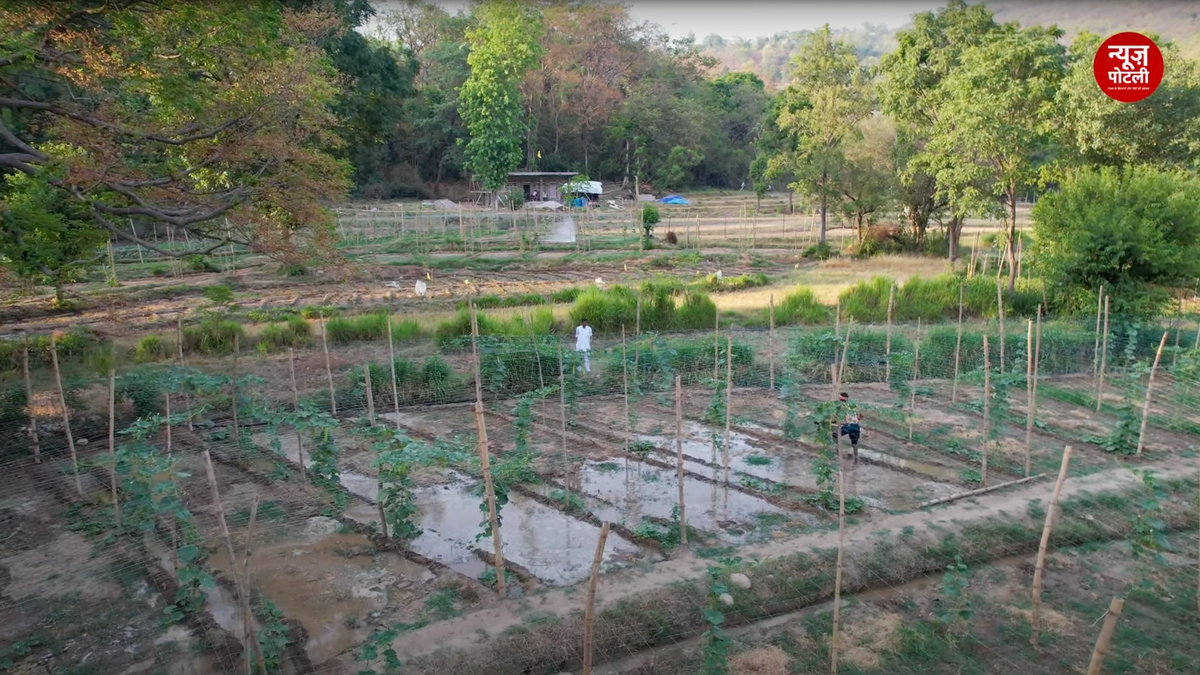 उत्तर प्रदेश सरकार प्राकृतिक खेती के लिए खर्च करेगी 2500 करोड़ रुपए