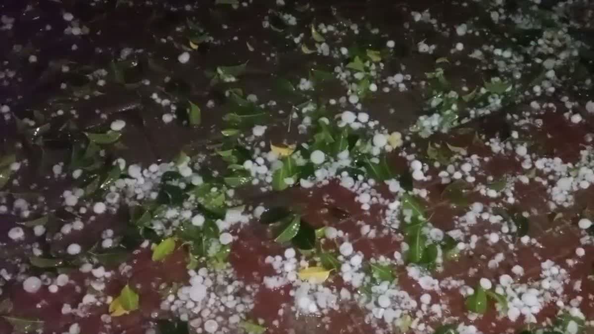 मध्य और पूर्वी भारत में बारिश-ओलावृष्टि को लेकर अलर्ट, इन क्षेत्रों में बढ़ेगा तापमान