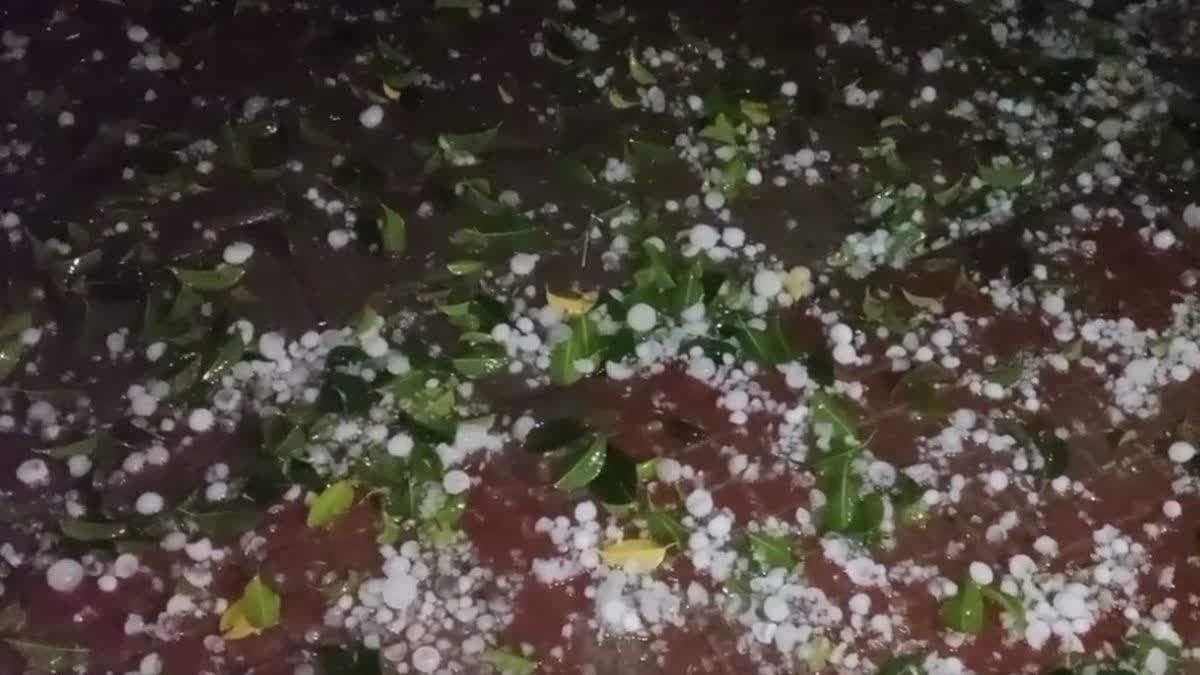 मध्य और पूर्वी भारत में बारिश-ओलावृष्टि को लेकर अलर्ट, इन क्षेत्रों में बढ़ेगा तापमान