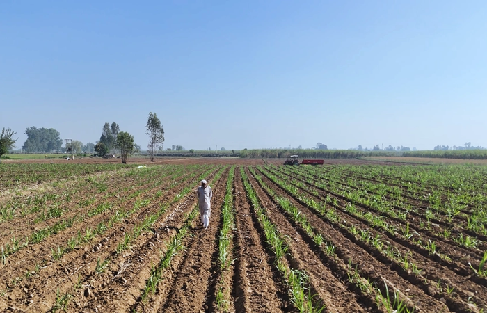 किसानों के लिए क्यों ज़रूरी है FARMER ID CARD?