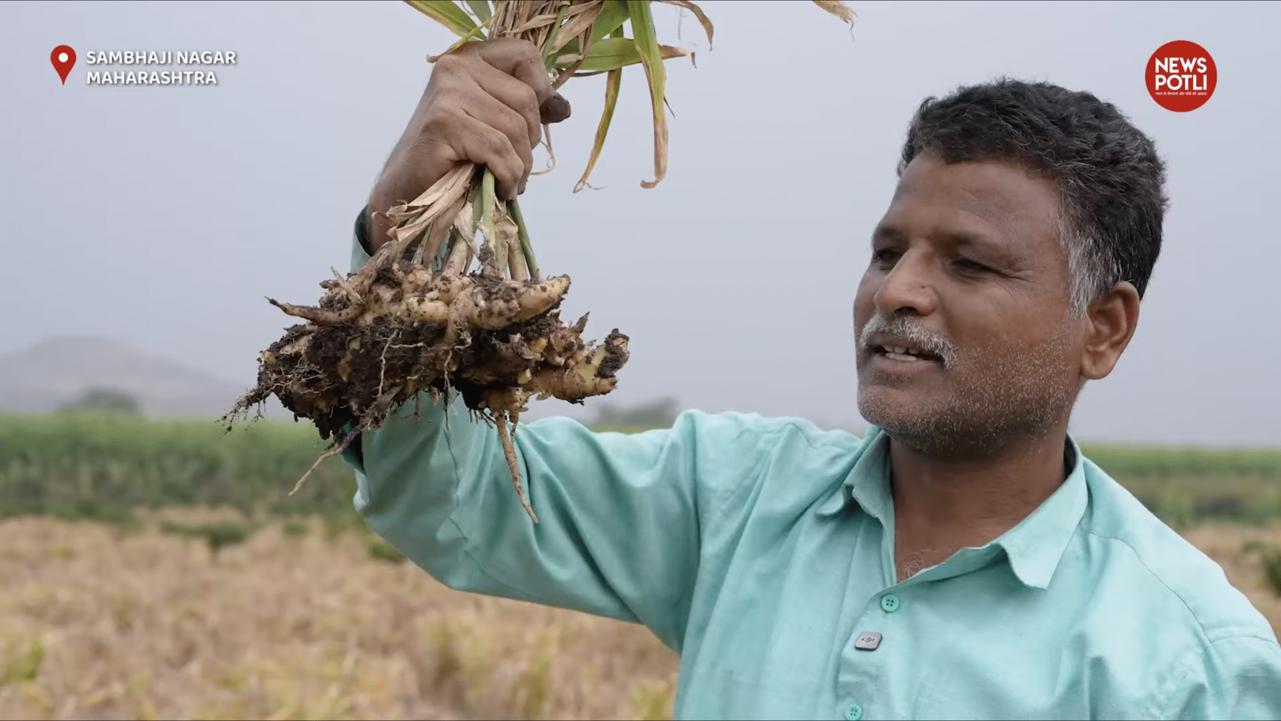 एक एकड़ से 14 लाख तक कमाई, सही तकनीक और टाइमिंग ने बदली अदरक की खेती की तस्वीर