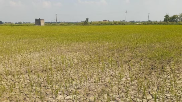 सूखे और बदलते मौसम से खेती को बचाने पर होगा मंथन, दिल्ली में जुटेंगे 800 से ज्यादा विशेषज्ञ