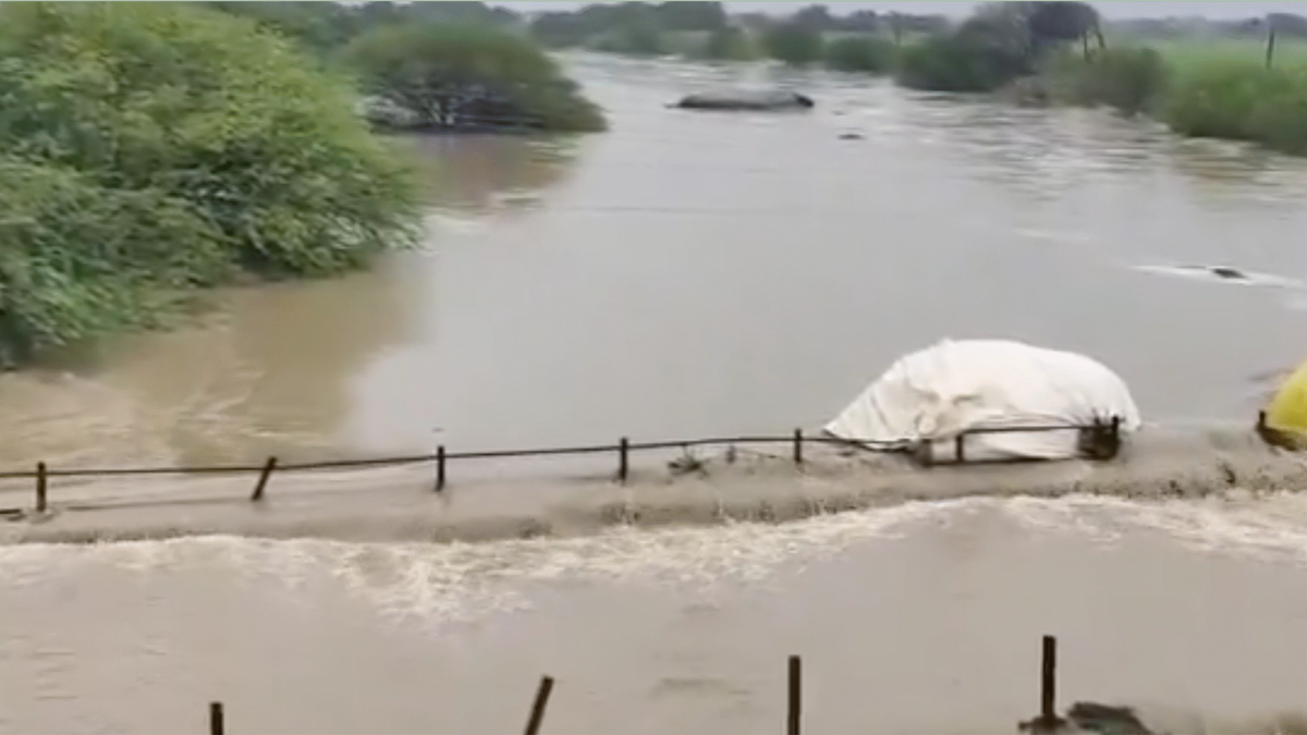 मॉनसून की विदाई के बाद भी बारिश ने मचाया कहर, सोयाबीन के ढेर बहे, किसानों के सामने बड़ा संकट