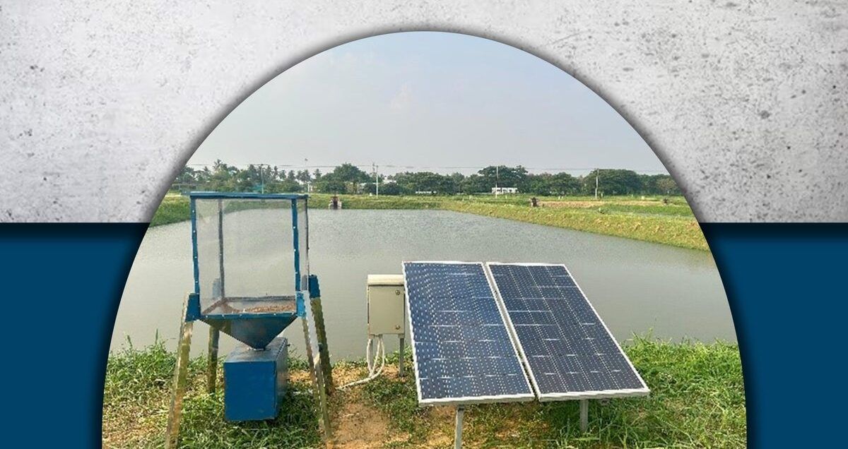 मछलियों को दाना खिलाना होगा अब और आसान, ICAR ने बनाई सोलर से चलने वाली स्मार्ट फिश फीडर मशीन