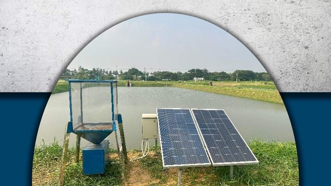 मछलियों को दाना खिलाना होगा अब और आसान, ICAR ने बनाई सोलर से चलने वाली स्मार्ट फिश फीडर मशीन