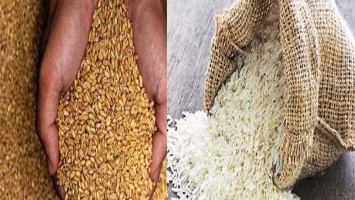 भारत का चावल भंडार रिकॉर्ड ऊंचाई पर, गेहूँ भी चार साल के उच्चतम स्तर पर