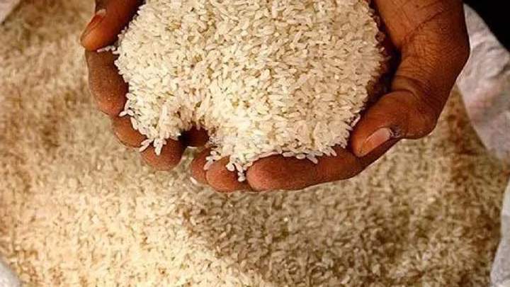 2025-26 में 52 लाख टन चावल से बनेगा एथेनॉल, OMSS के तहत गेहूं और चावल की बिक्री को लेकर नई पॉलिसी