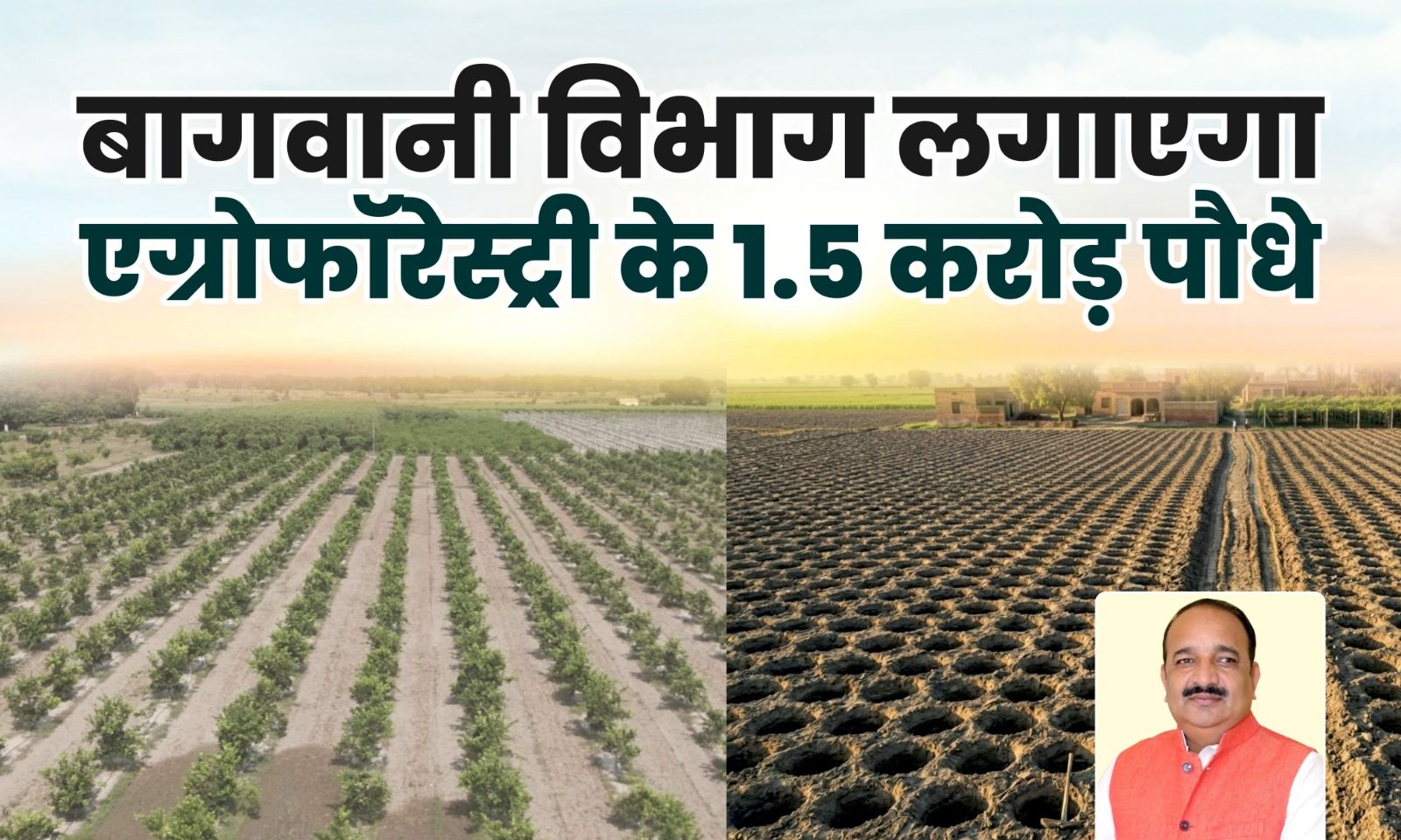 वृक्षारोपण महा अभियान 2026: उद्यान विभाग रोपेगा 1.5 करोड़ पौधे, एग्रोफॉरेस्ट्री पर जोर