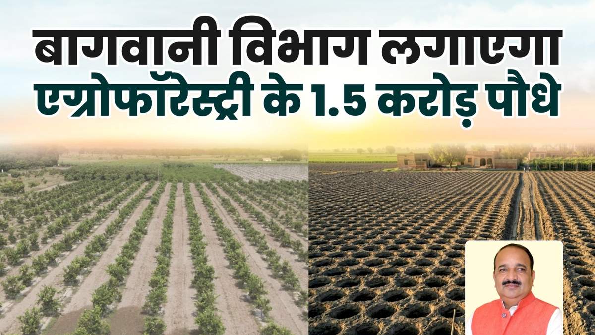 वृक्षारोपण महा अभियान 2026: उद्यान विभाग रोपेगा 1.5 करोड़ पौधे, एग्रोफॉरेस्ट्री पर जोर