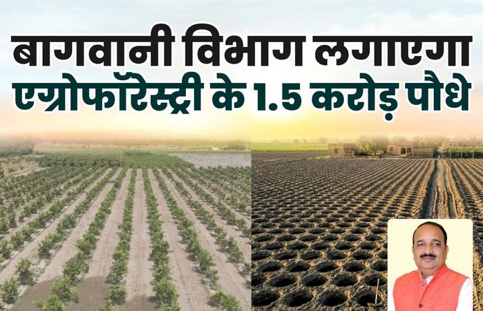 वृक्षारोपण महा अभियान 2026: उद्यान विभाग रोपेगा 1.5 करोड़ पौधे, एग्रोफॉरेस्ट्री पर जोर