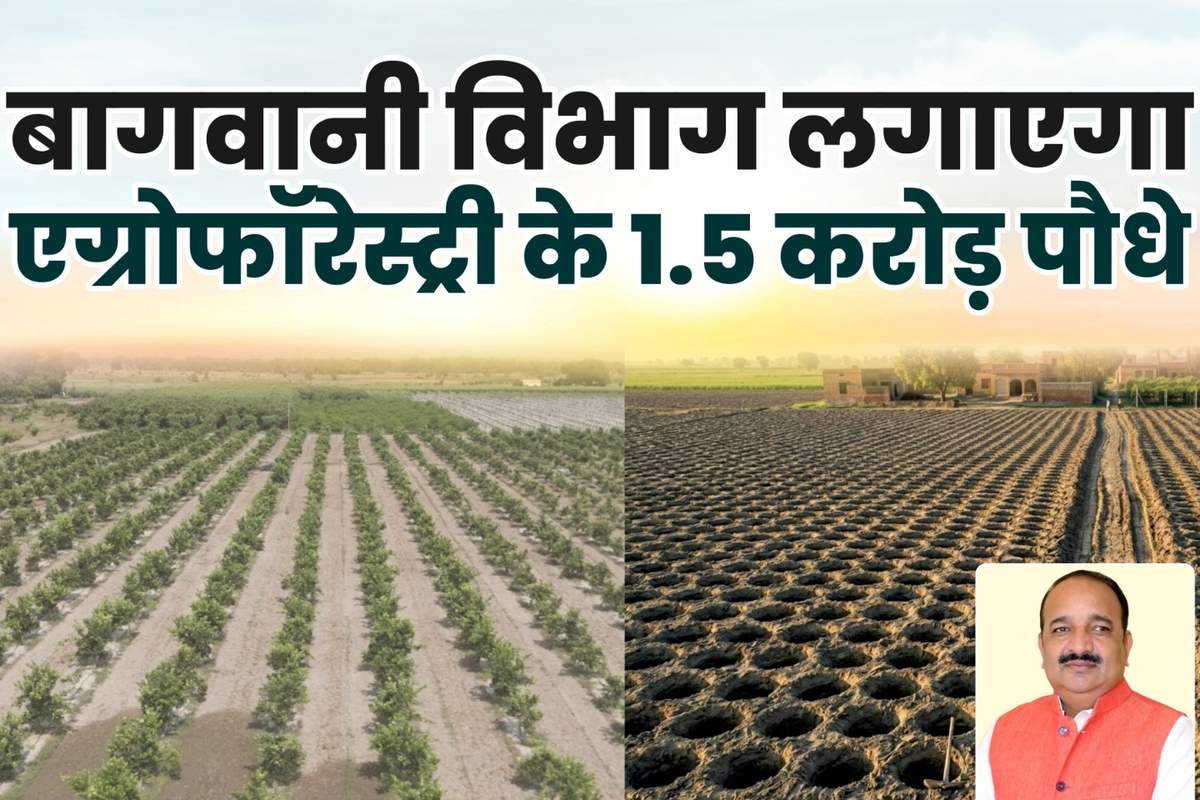 वृक्षारोपण महा अभियान 2026: उद्यान विभाग रोपेगा 1.5 करोड़ पौधे, एग्रोफॉरेस्ट्री पर जोर
