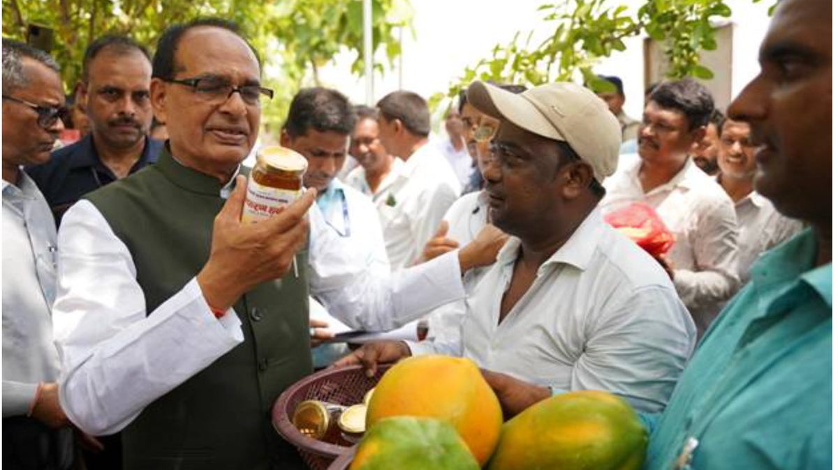 लीची की पैदावार 48 घंटे में खराब ना हो, इसके लिए ठोस शोध और प्रयास होंगे– कृषि मंत्री चौहान