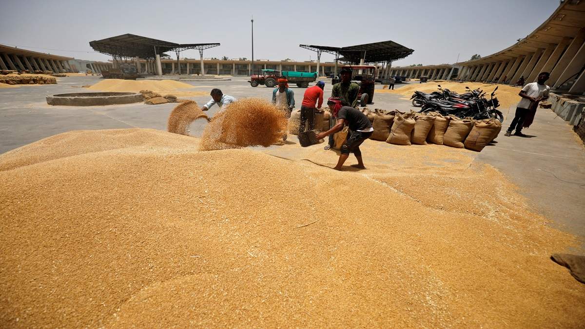 गेहूं भंडारण सीमा घटी, हर हफ्ते बताना होगा स्टॉक