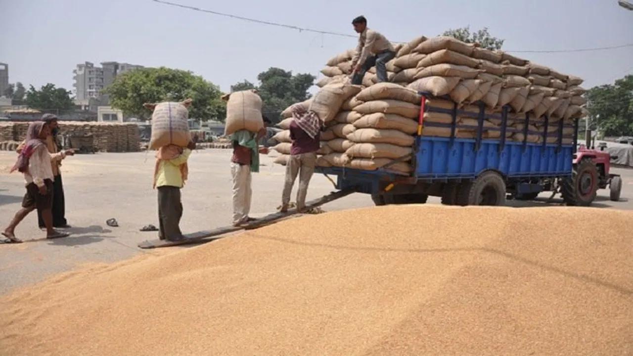 गेहूं की खरीद पिछले वर्ष के स्तर से आगे बढ़कर 28.66 मिलियन टन पर पहुंची