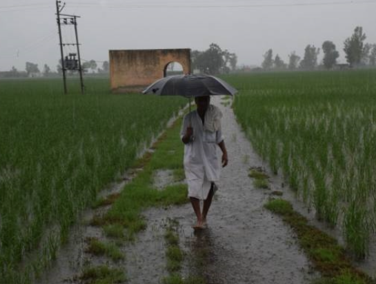 IMD ने राजस्थान, मध्य प्रदेश, ओडिशा समेत कई राज्यों में अगले कुछ दिनों तक भारी से बहुत भारी बारिश का अलर्ट जारी किया है। 